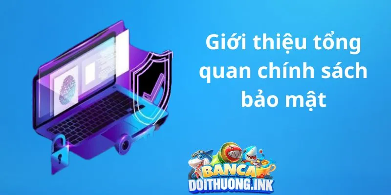 Giới thiệu tổng Quan Chính sách bảo mật của nhà cái
